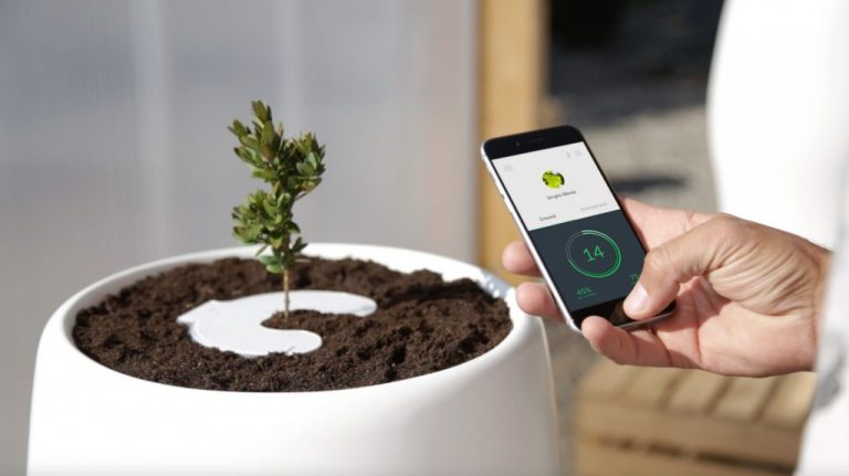 App Til Genkendelse Af Planter